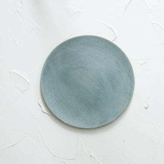 Sky blue speckled Plate