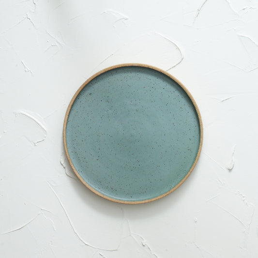 Sky blue speckled rim Plate